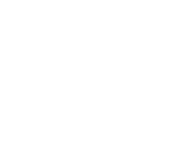 villanova logo white